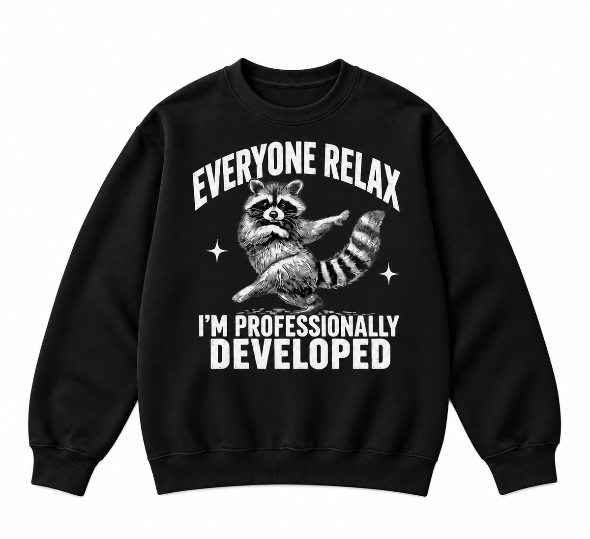 Everyone Relax I’m Professionally Developed Funny Raccoon Graphic Apparel
