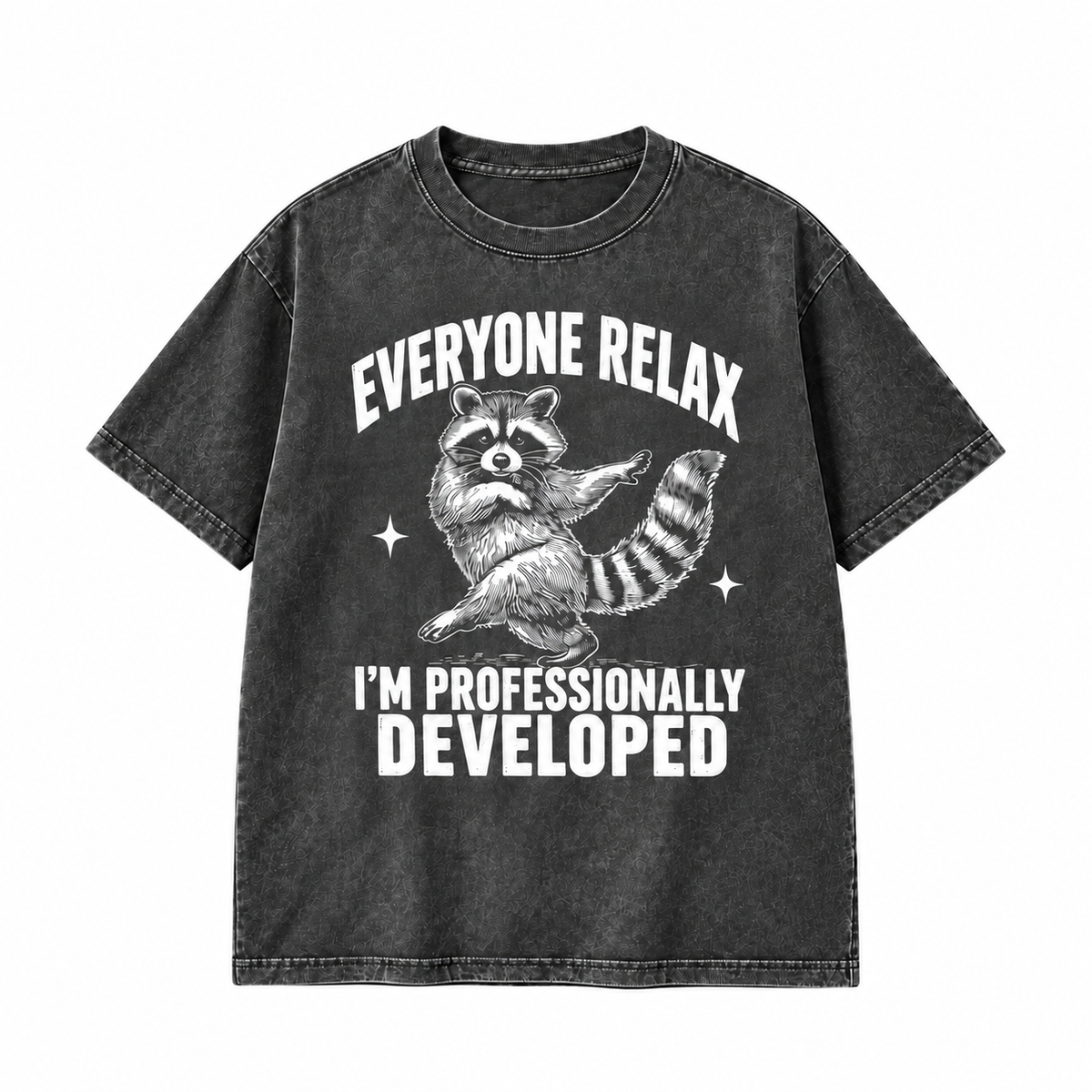 Everyone Relax I’m Professionally Developed Funny Raccoon Graphic Apparel